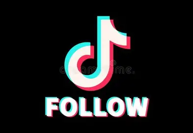 TikTok Followers